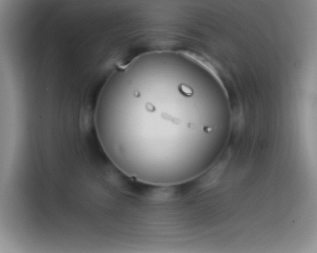 X0000113910474200910011452