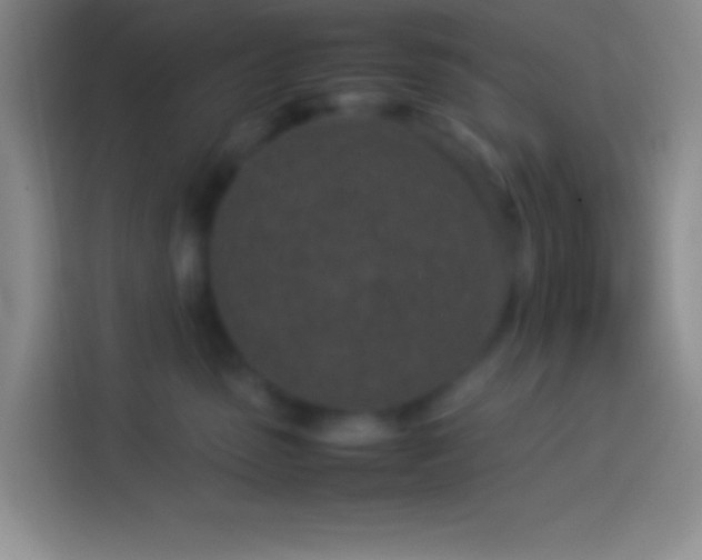 X0000113910475200910011452