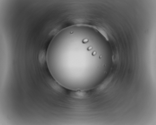 X0000113910478200910011452