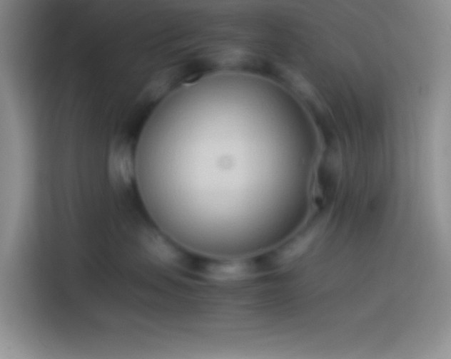 X0000113910479200910011452