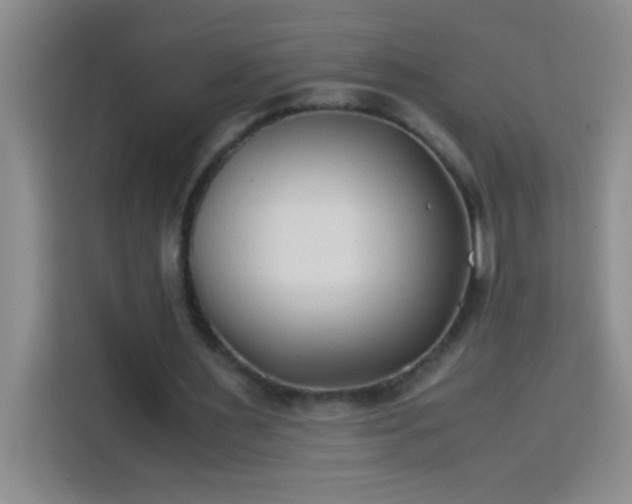 X0000113910483200910011452