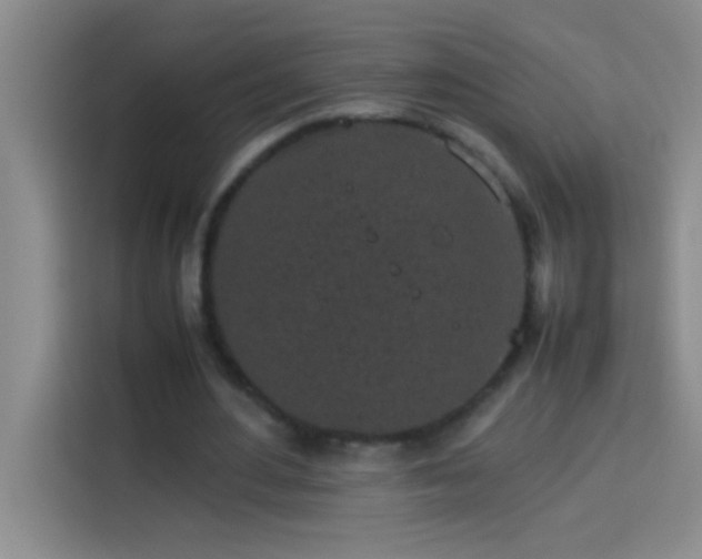 X0000113910484200910011452