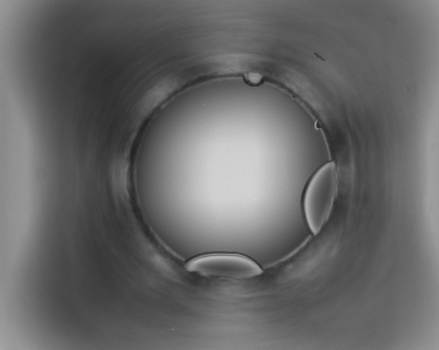 X0000113910485200910011452