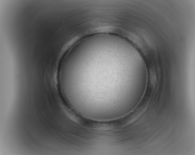 X0000113910486200910011452