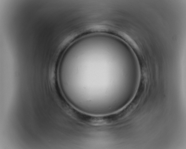 X0000113910487200910011452