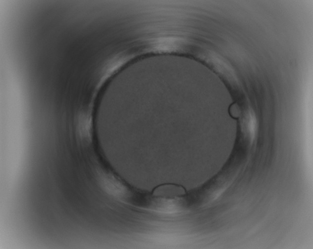 X0000113910488200910011452