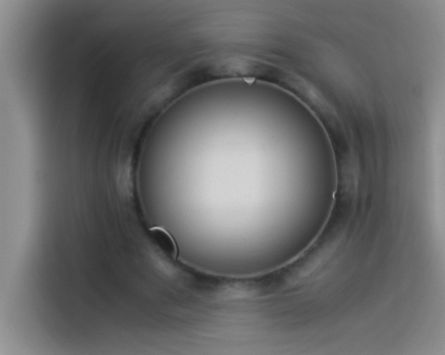 X0000113910489200910011452