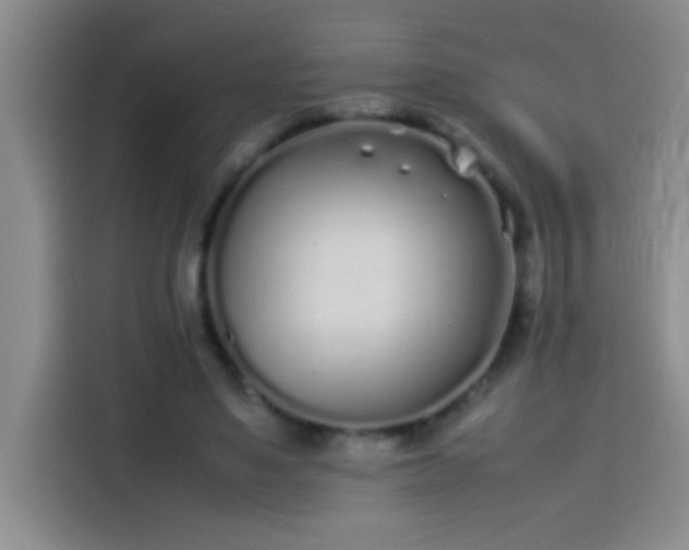 X0000113910491200910011452