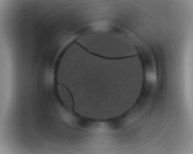 X0000113910492200910011452