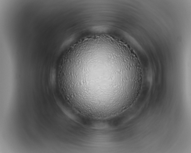 X0000113910494200910011452