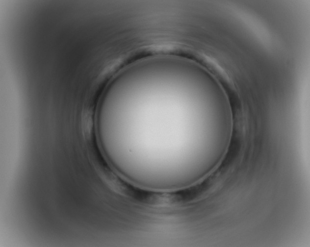 X0000113910495200910011451