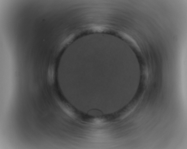 X0000113910496200910011451