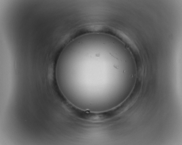 X0000113910497200910011451