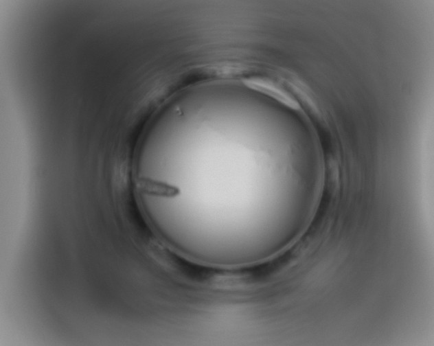 X0000113910499200910011451