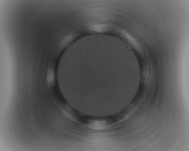 X0000113910500200910011451