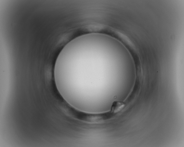 X0000113910501200910011451