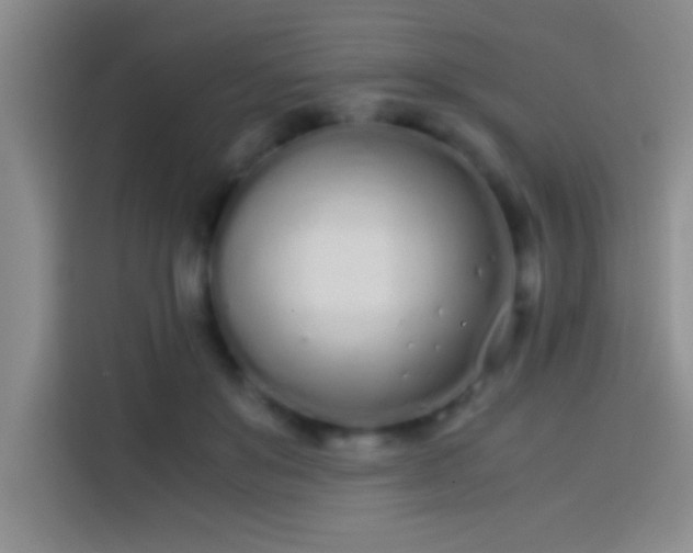 X0000113910503200910011451