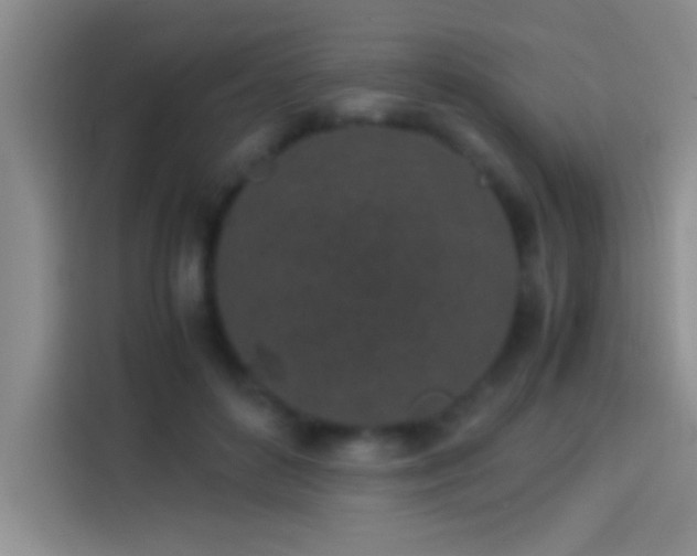 X0000113910504200910011451