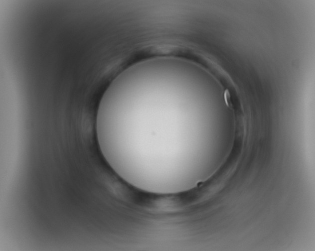 X0000113910505200910011451