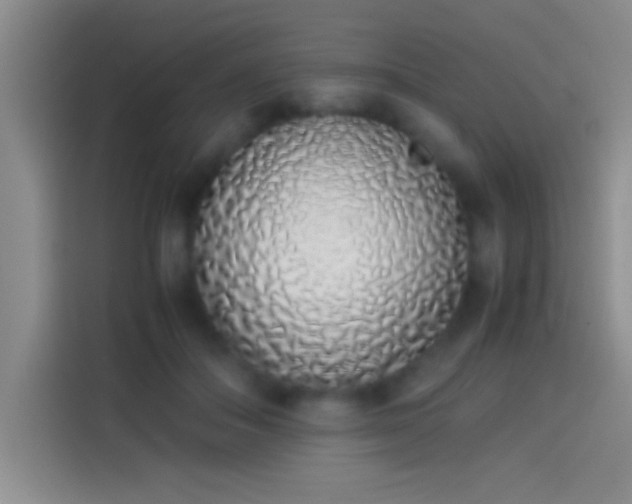 X0000113910506200910011451