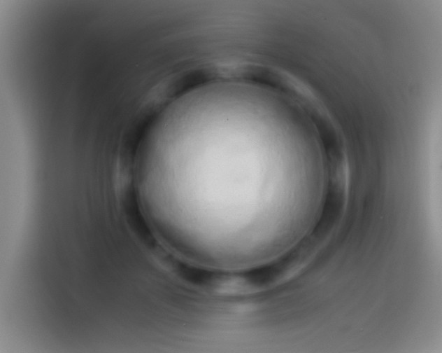 X0000113910507200910011451