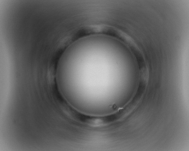 X0000113910509200910011451