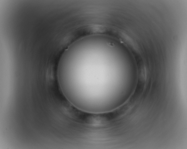 X0000113910512200910011451