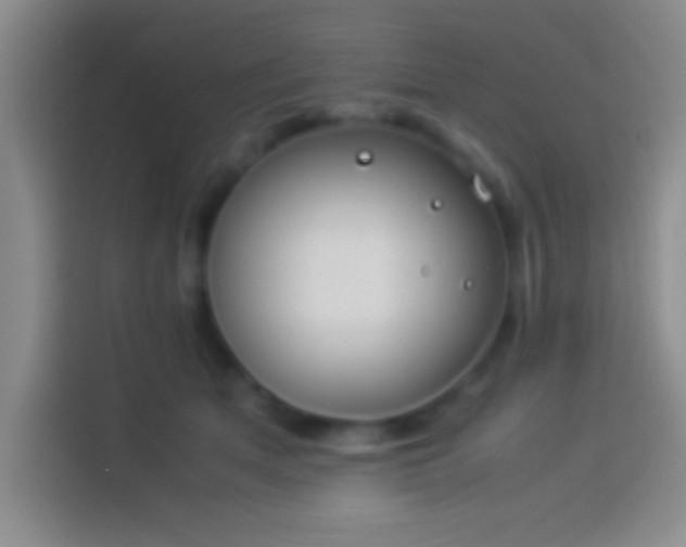 X0000113910513200910011451