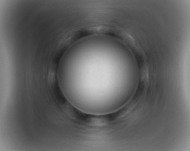 X0000113910515200910011451