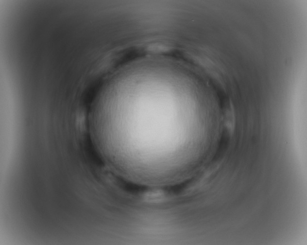 X0000113910519200910011451