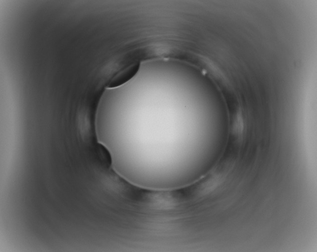 X0000113910524200910011451