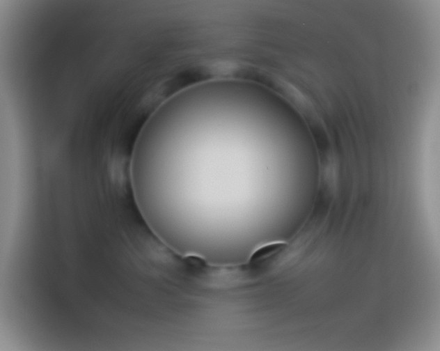 X0000113910525200910011451