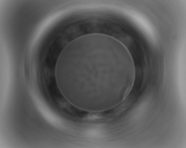 X0000113910526200910011451