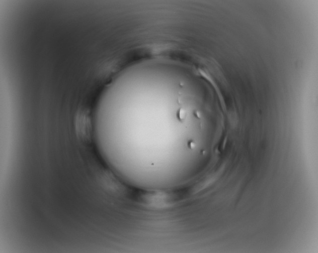 X0000113910527200910011451