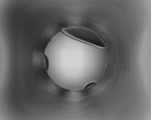 X0000113910528200910011451