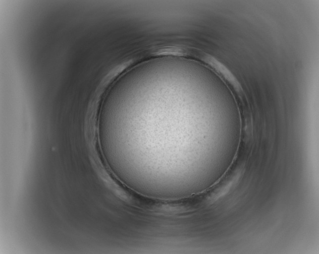 X0000113910529200910011450