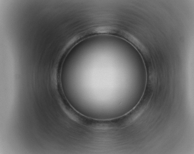 X0000113910530200910011450