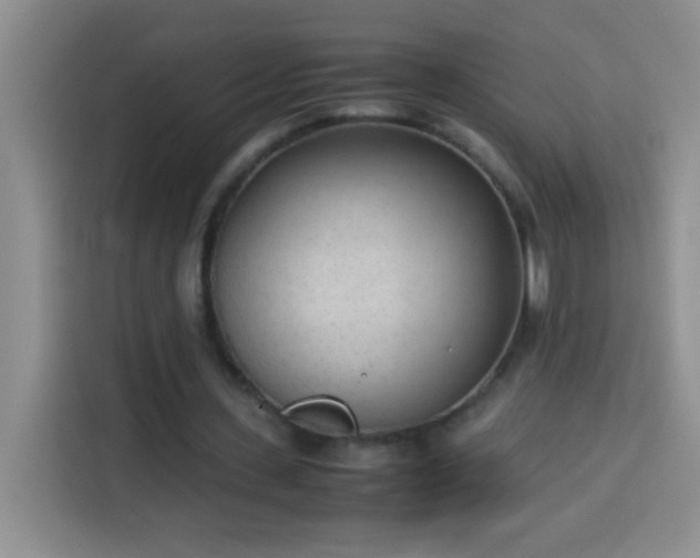 X0000113910531200910011450