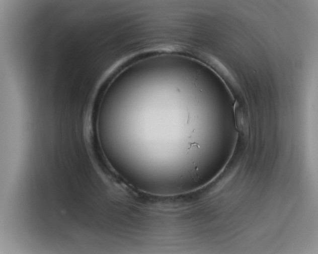 X0000113910532200910011450