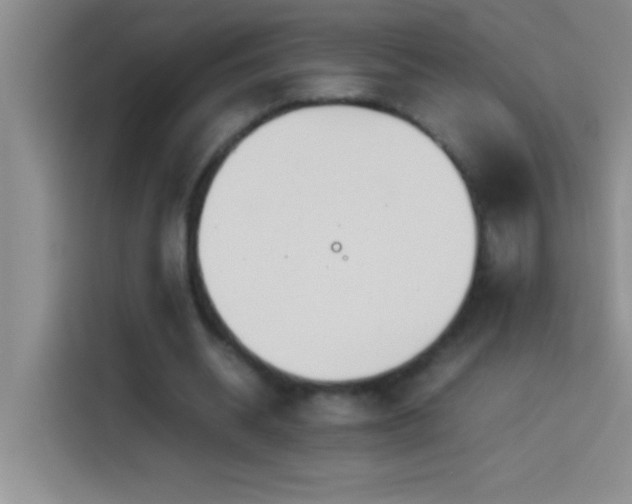 X0000113910534200910011451