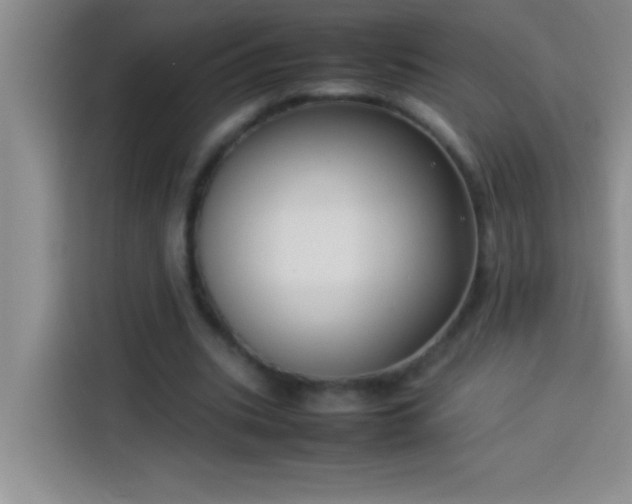 X0000113910535200910011451