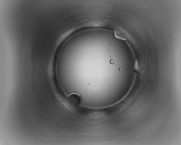 X0000113910536200910011451