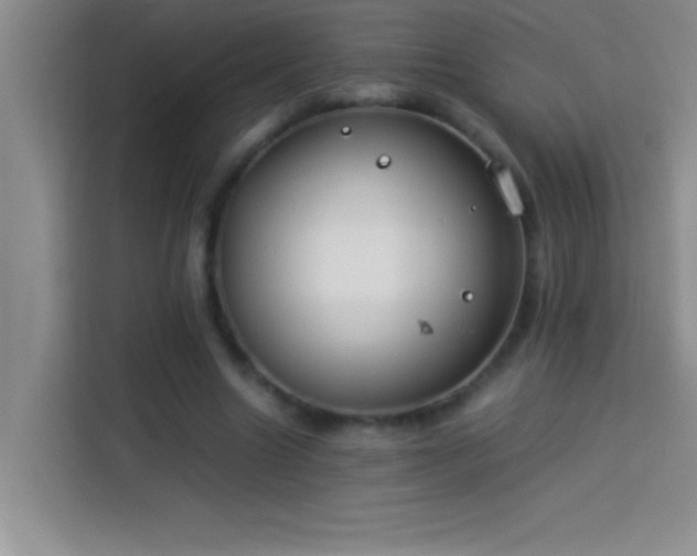 X0000113910538200910011451