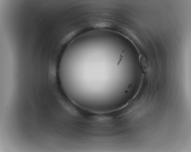 X0000113910539200910011451