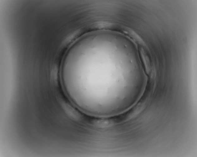 X0000113910542200910011451