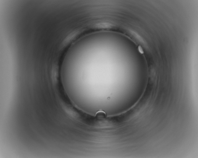 X0000113910544200910011451