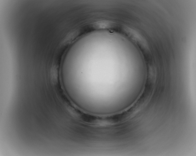 X0000113910545200910011451