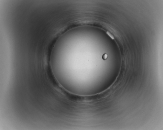 X0000113910546200910011451