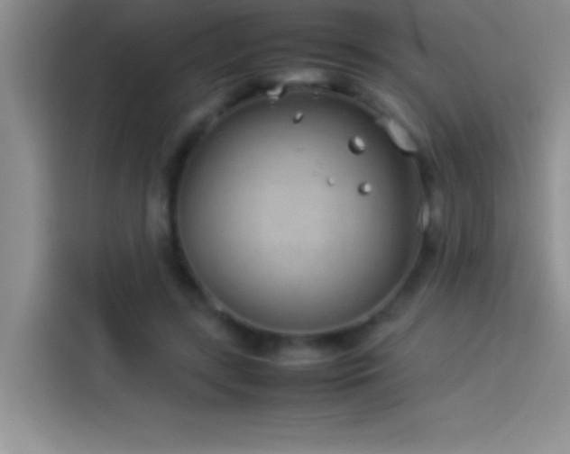 X0000113910547200910011451