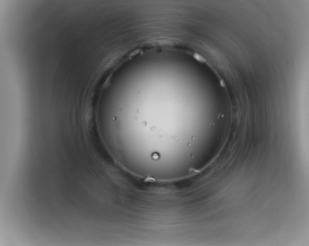 X0000113910548200910011451